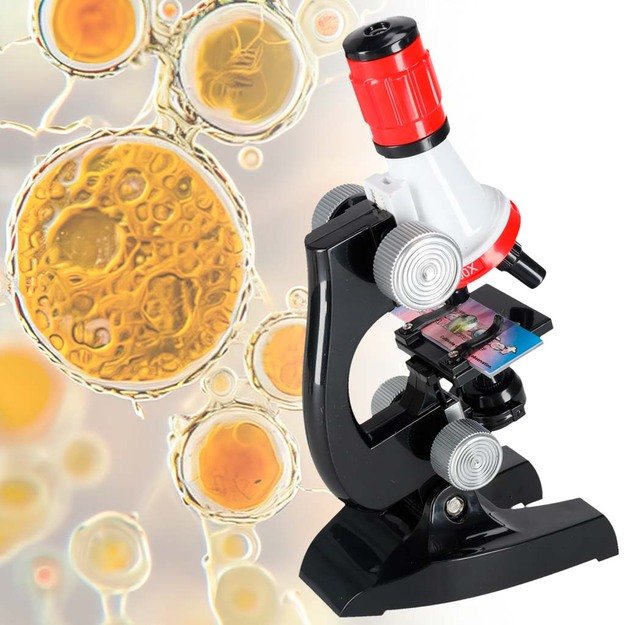 Vaikiškas / Žaislinis mikroskopas su priedais