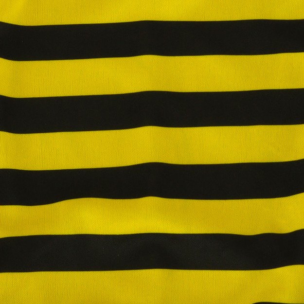 Karnavalinis kostiumas bitė 2 el dydis S