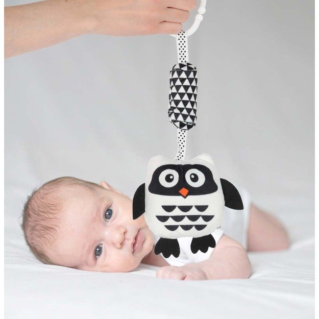 Sensorinis bar&scaron;kučio pakabukas su kontrastinga pelėda