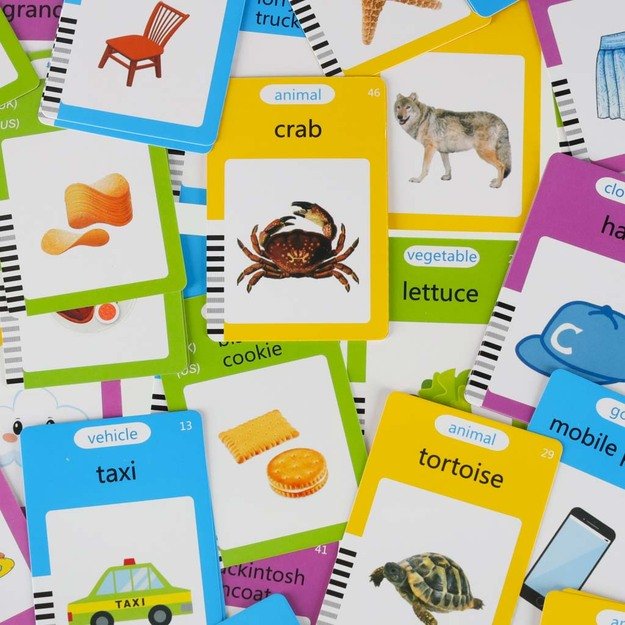 Anglų kalbos žodyno mokymosi kortelių skaitymo kortelė flipchart blue