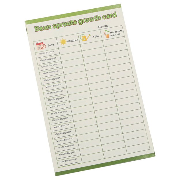 Kūrybinis rinkinys medžio nameliui statyti augantys augalai figūrėlės lipdukai