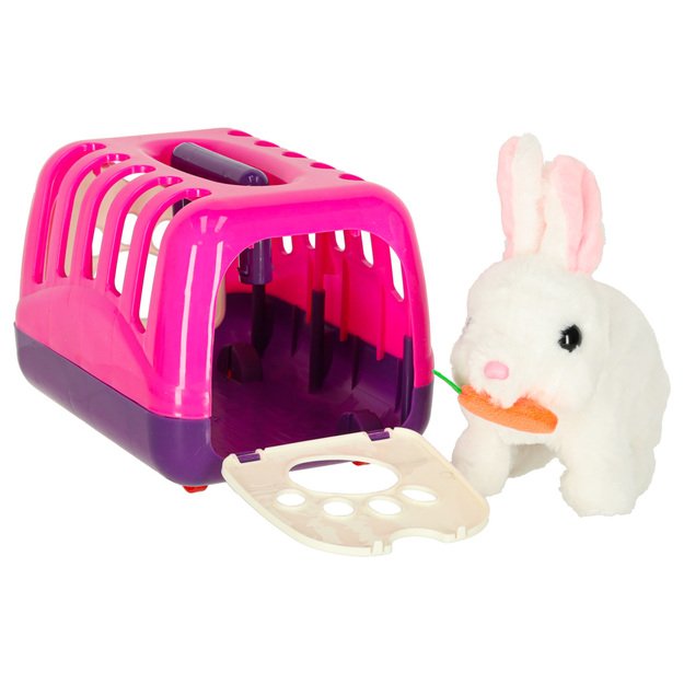 Morkų triu&scaron;is triu&scaron;is pliu&scaron;inis vaik&scaron;to juda ausimis