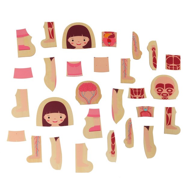 Montessori delionė Pažink kūną - kūno dalių formavimas sandara Mergaitė