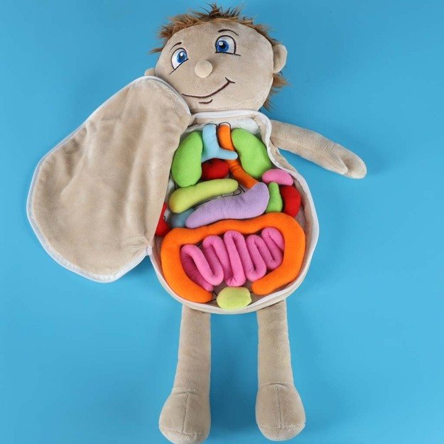 Anatomijos besimokantis berniukas su talismanu