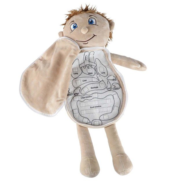 Anatomijos besimokantis berniukas su talismanu