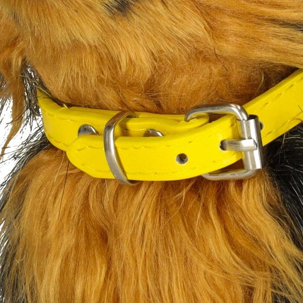 Interaktyvus &scaron;uo reaguoja į prisilietimus, judesius, pasivaik&scaron;čiojimus, lojimą, lojimą York