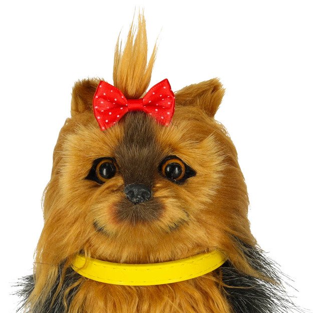 Interaktyvus &scaron;uo reaguoja į prisilietimus, judesius, pasivaik&scaron;čiojimus, lojimą, lojimą York