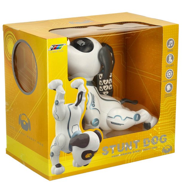 Interaktyvus &scaron;uns nuotolinio valdymo RC robotas &scaron;okinėja dainuoja