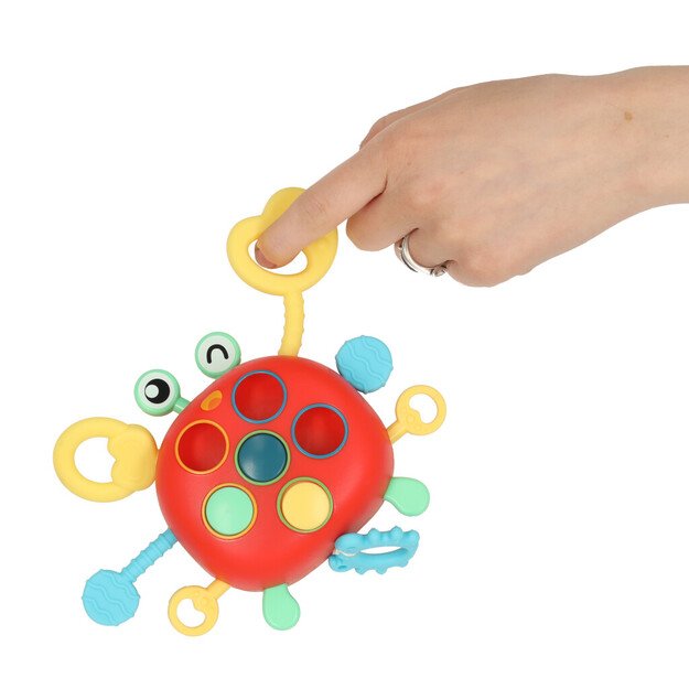 Kūdikių kramtukas krabas sensorinis žaislas