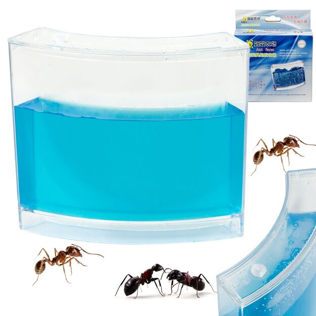 Mokomasis gelinis akvariumas skruzdėlėms